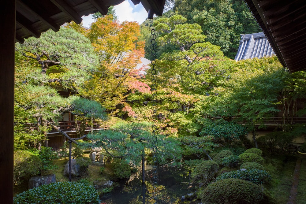 a small pond surrounded by trees in a garden