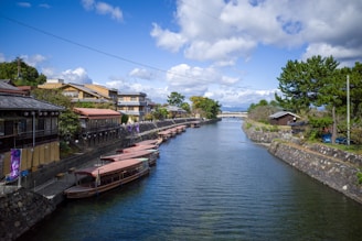 a body of water surrounded by buildings and trees