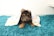 A small puppy lies on a plush teal rug, partially covered by a white blanket adorned with colorful animal prints. The puppy has dark fur with lighter brown markings, and its ears are perked up.