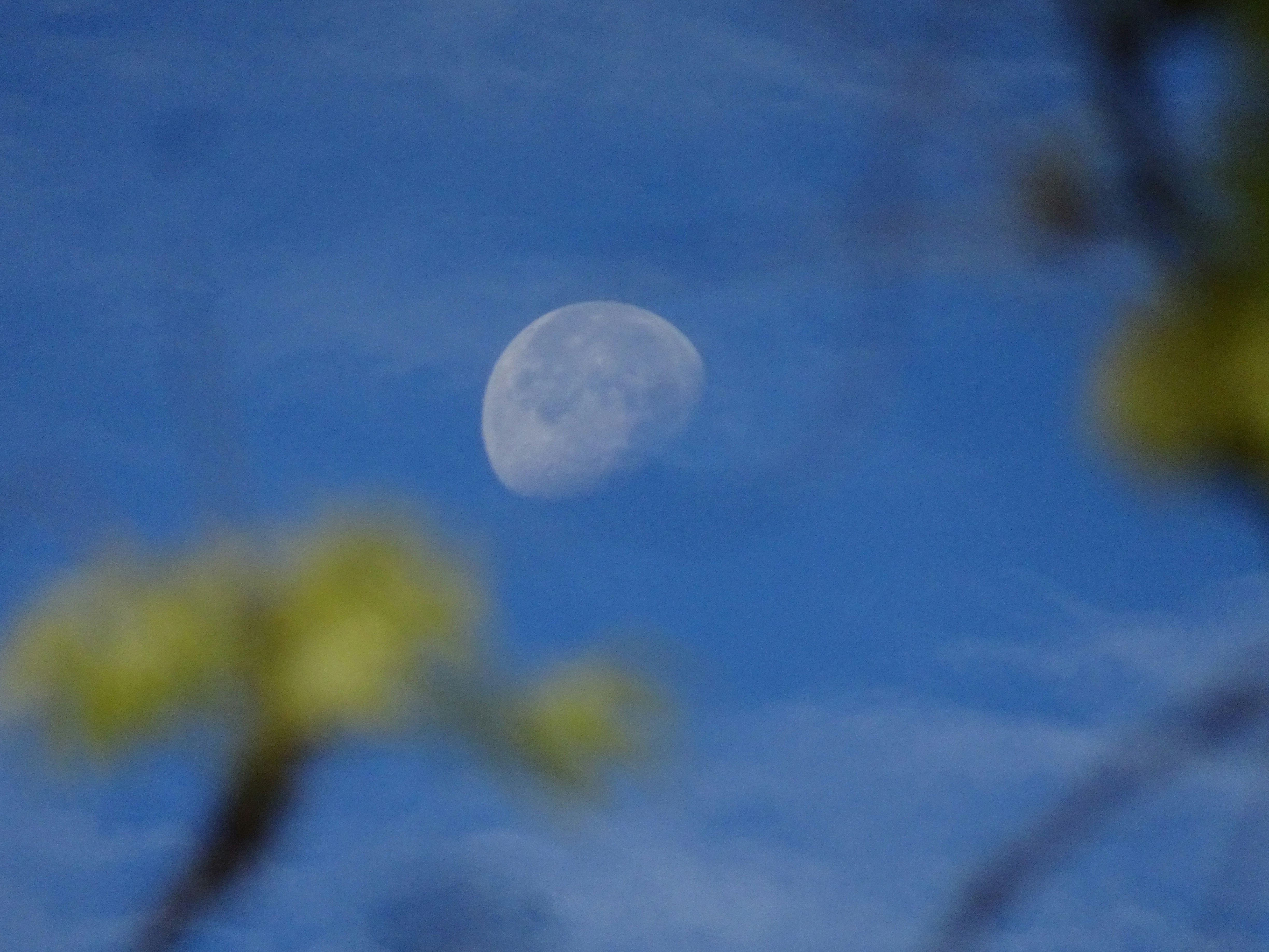 Photo by ludovico_06