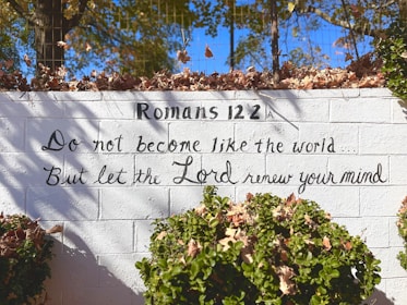 A white brick wall features a handwritten message referencing Romans 12:2, urging not to conform to the world but to let the Lord renew the mind. The wall is adorned with dry leaves on top and surrounded by green foliage at the bottom. Sunlight casts shadows of branches, adding depth and texture.
