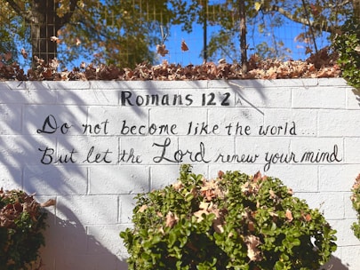A white brick wall features a handwritten message referencing Romans 12:2, urging not to conform to the world but to let the Lord renew the mind. The wall is adorned with dry leaves on top and surrounded by green foliage at the bottom. Sunlight casts shadows of branches, adding depth and texture.