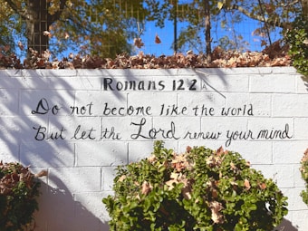 A white brick wall features a handwritten message referencing Romans 12:2, urging not to conform to the world but to let the Lord renew the mind. The wall is adorned with dry leaves on top and surrounded by green foliage at the bottom. Sunlight casts shadows of branches, adding depth and texture.