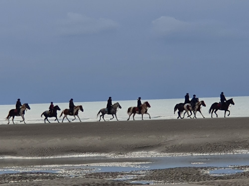 a group of people riding horses on a beach