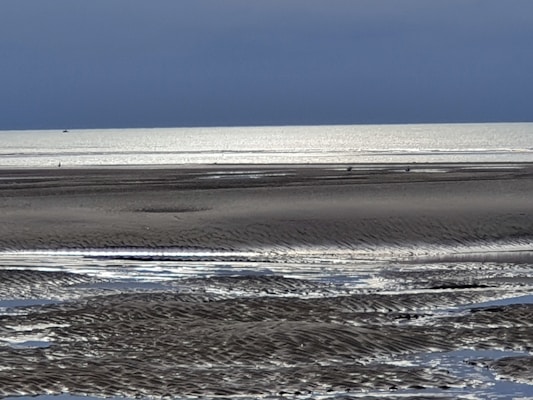 a person riding a horse on a beach near the ocean