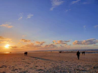 a group of people standing on top of a sandy beach