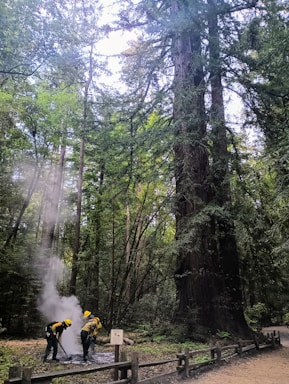 Two people wearing yellow helmets and protective clothing are managing a small controlled fire in a forest with tall trees. Smoke is rising from the fire as they work under a canopy of dense green foliage.