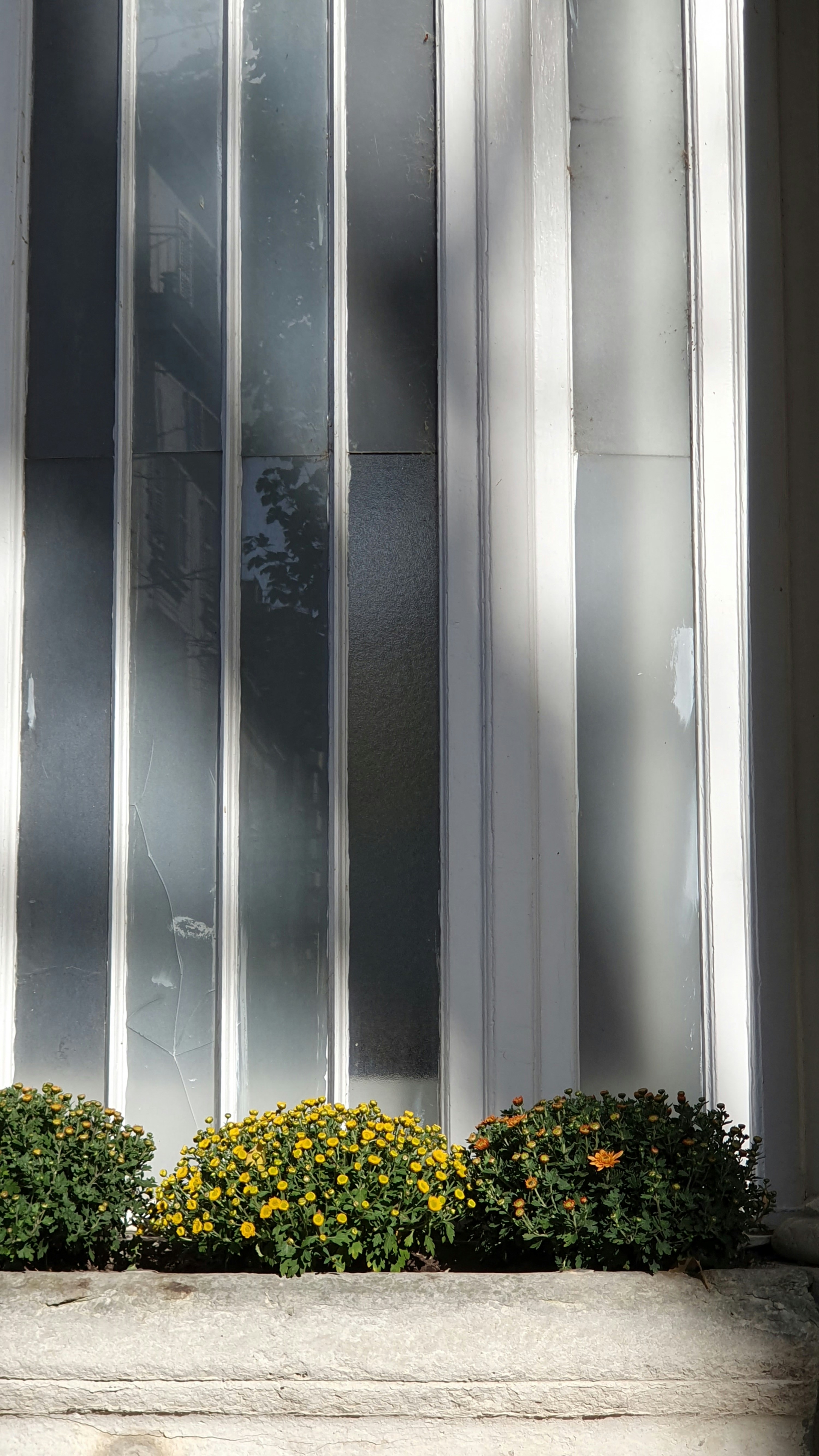 Photo by alexandra_giocondo