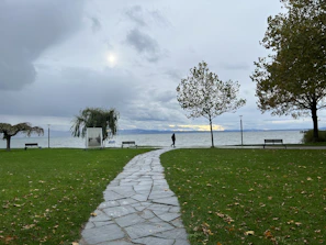 A serene outdoor scene with Laide walking along a tree-lined path, reflecting.