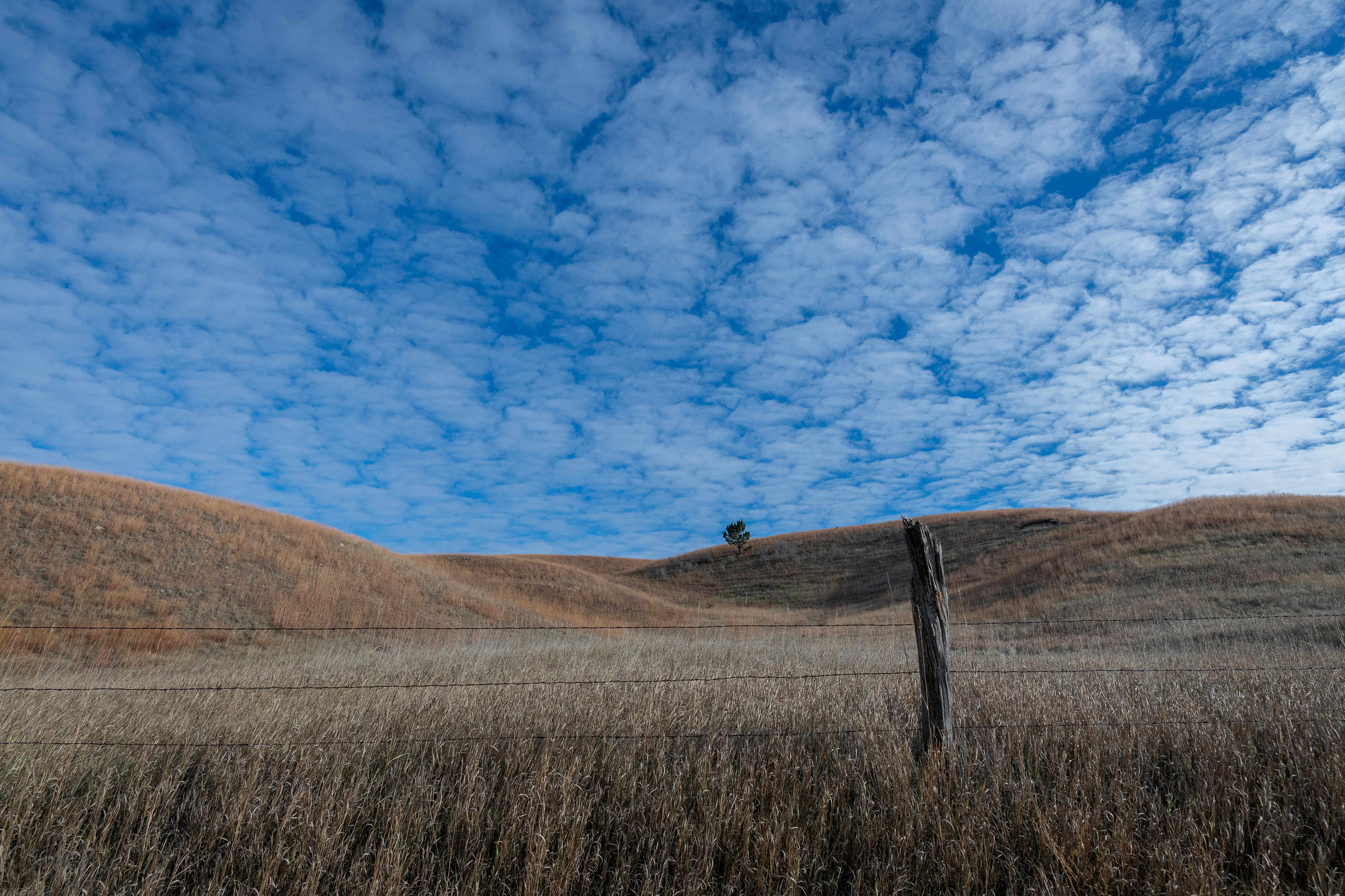 Photo by jonmsailer