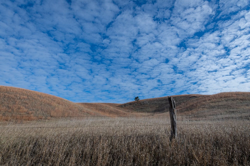 a field with a fence in the middle of it