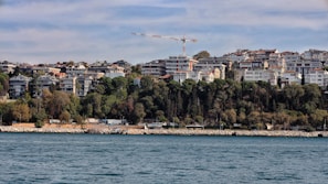 A scenic view of a coastal urban area with residential buildings nestled among dense greenery on a hillside. A construction crane is visible above the apartments, indicating ongoing development. The foreground features a large body of water with gentle waves, while the sky is partly cloudy, casting soft shadows over the landscape.