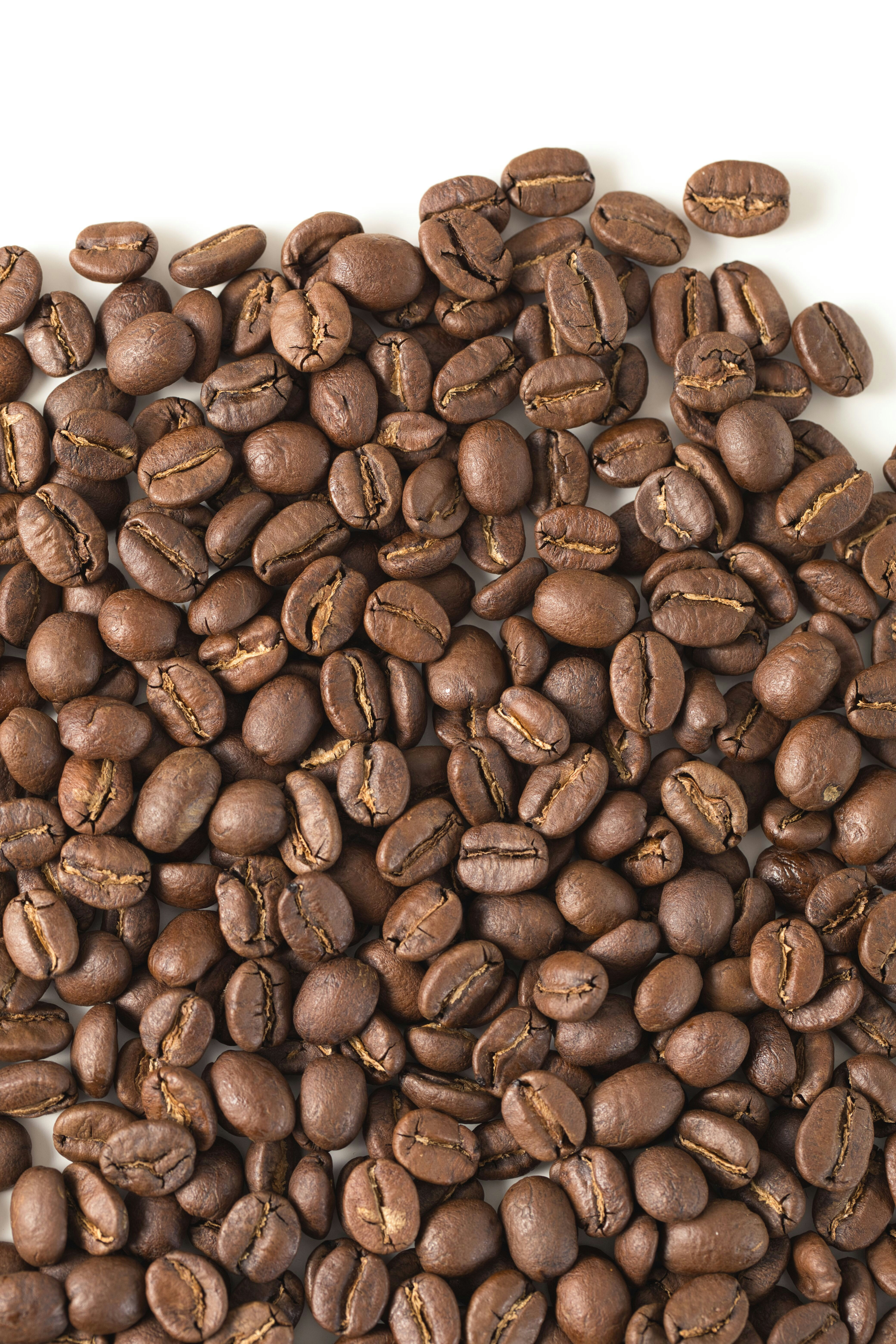 A large pile of roasted coffee beans spread across a flat surface. The beans are uniformly dark brown with a glossy appearance, showcasing the distinct lines and curves typical of coffee beans.