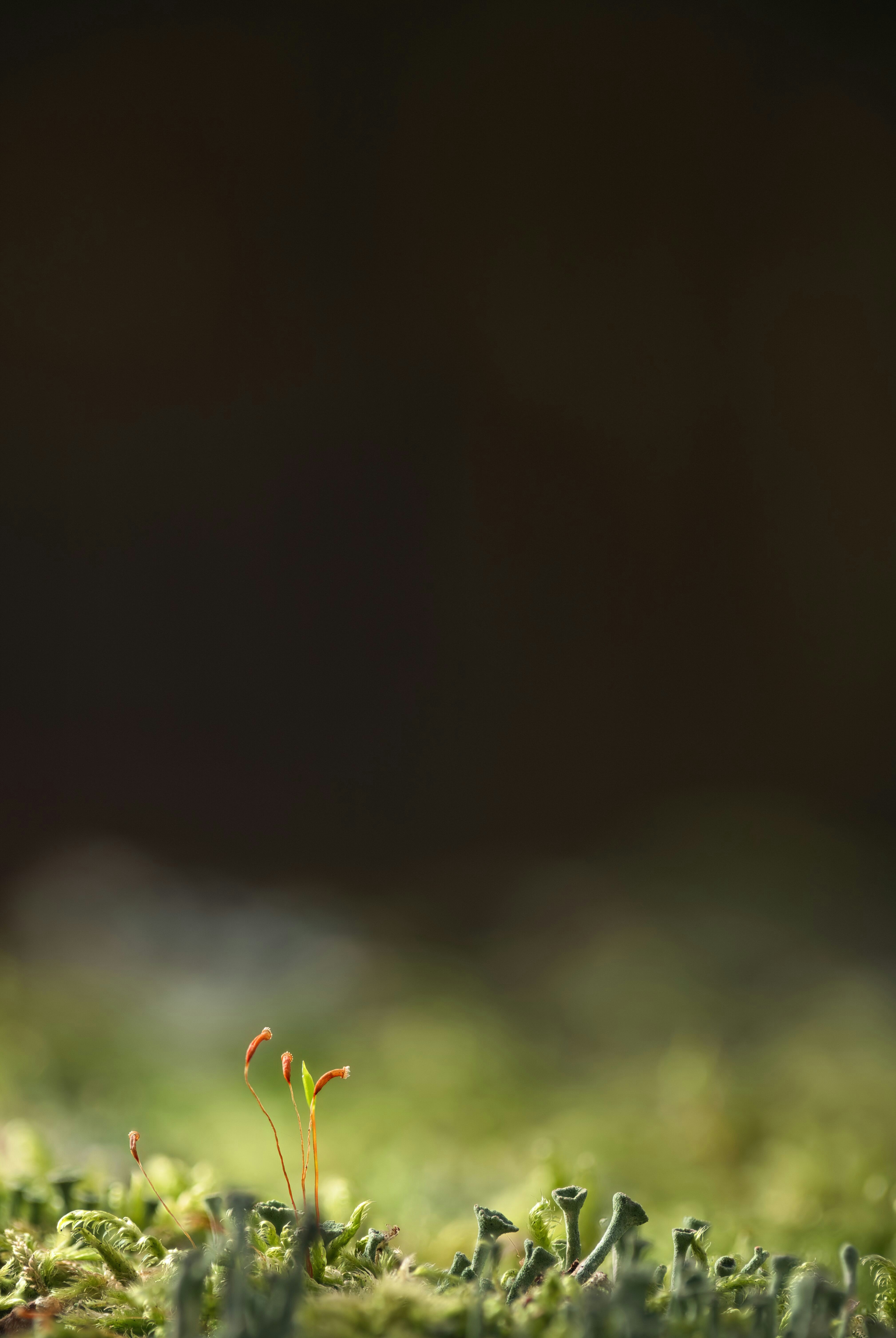 Photo by stepanvrany