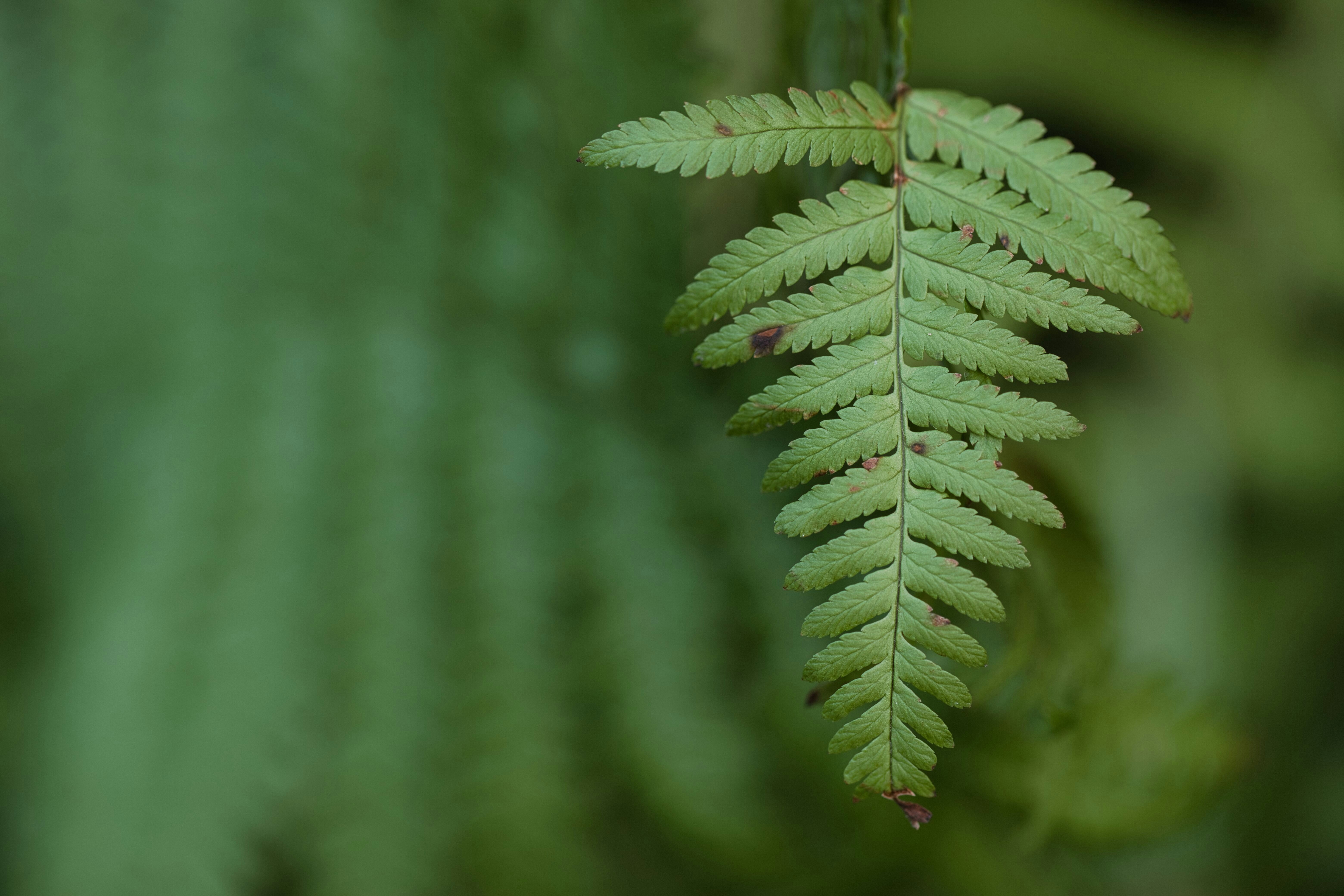 Photo by stepanvrany