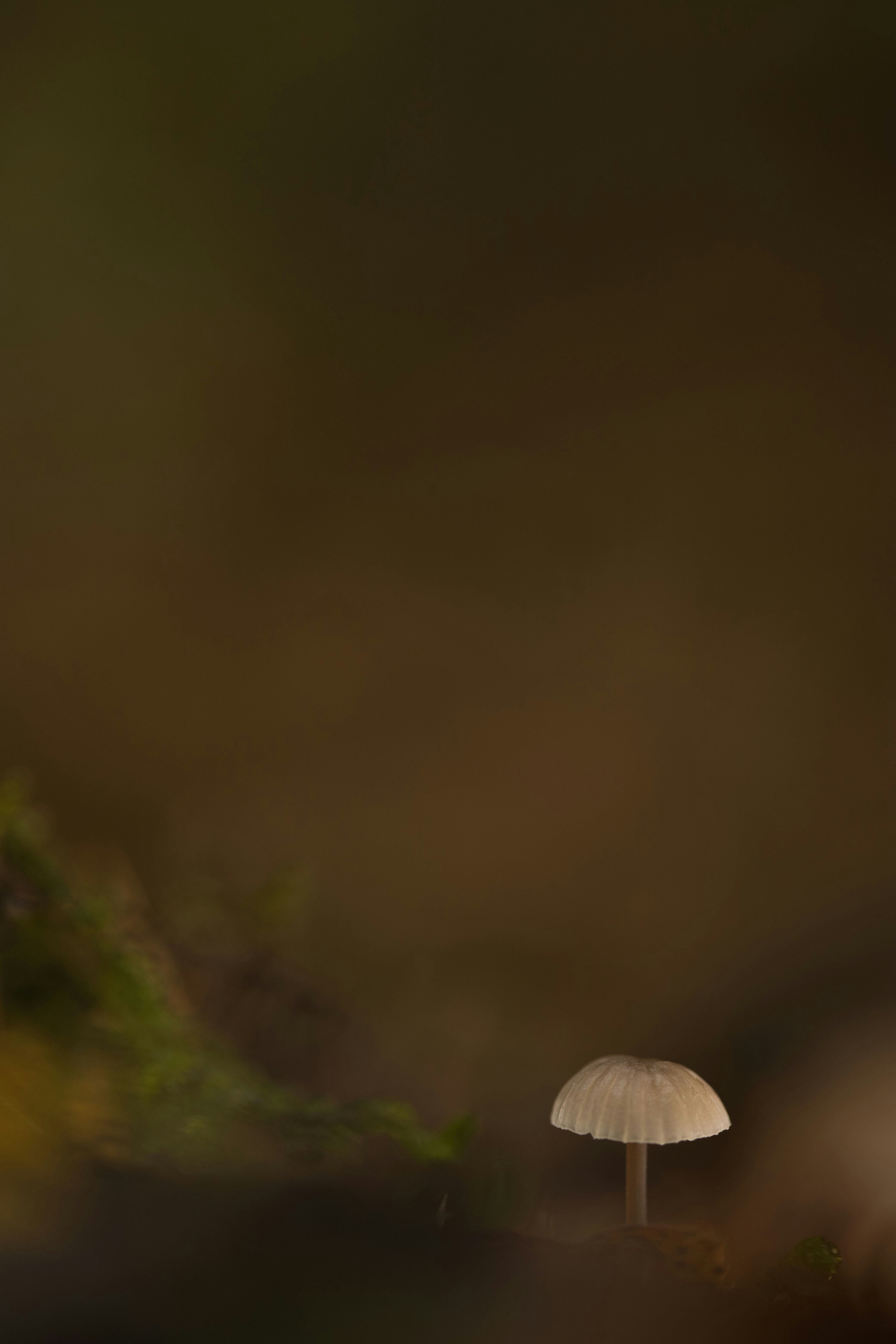 Photo by stepanvrany