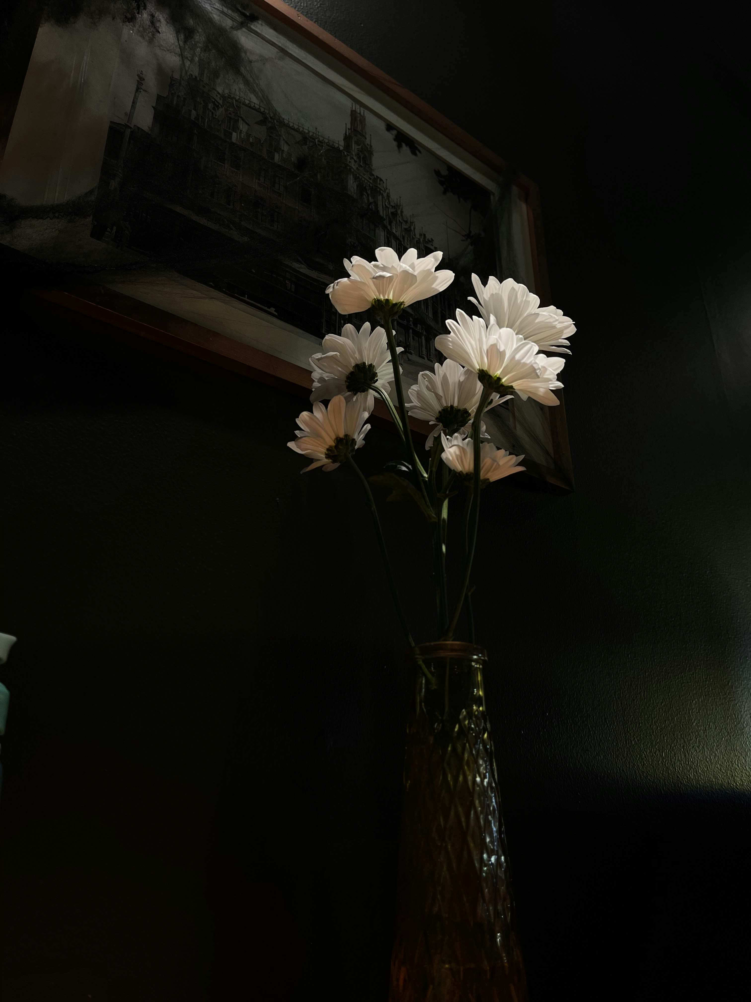 Photo by theskinnyratt