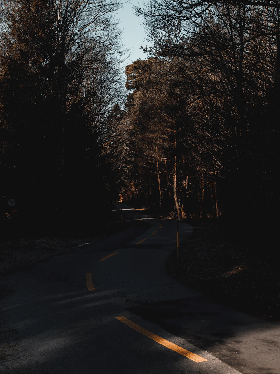 Serene forest road with winding path under clear blue sky and surrounding trees