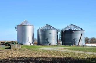 Three large metallic silos stand prominently in a field with clear blue skies overhead. The silos appear to be used for grain storage and are surrounded by a combination of grass and fallen leaves. To the left, a farming implement is partially visible. In the background, some trees and vegetation can be seen.