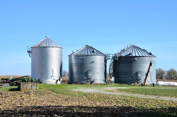 Three large metallic silos stand prominently in a field with clear blue skies overhead. The silos appear to be used for grain storage and are surrounded by a combination of grass and fallen leaves. To the left, a farming implement is partially visible. In the background, some trees and vegetation can be seen.