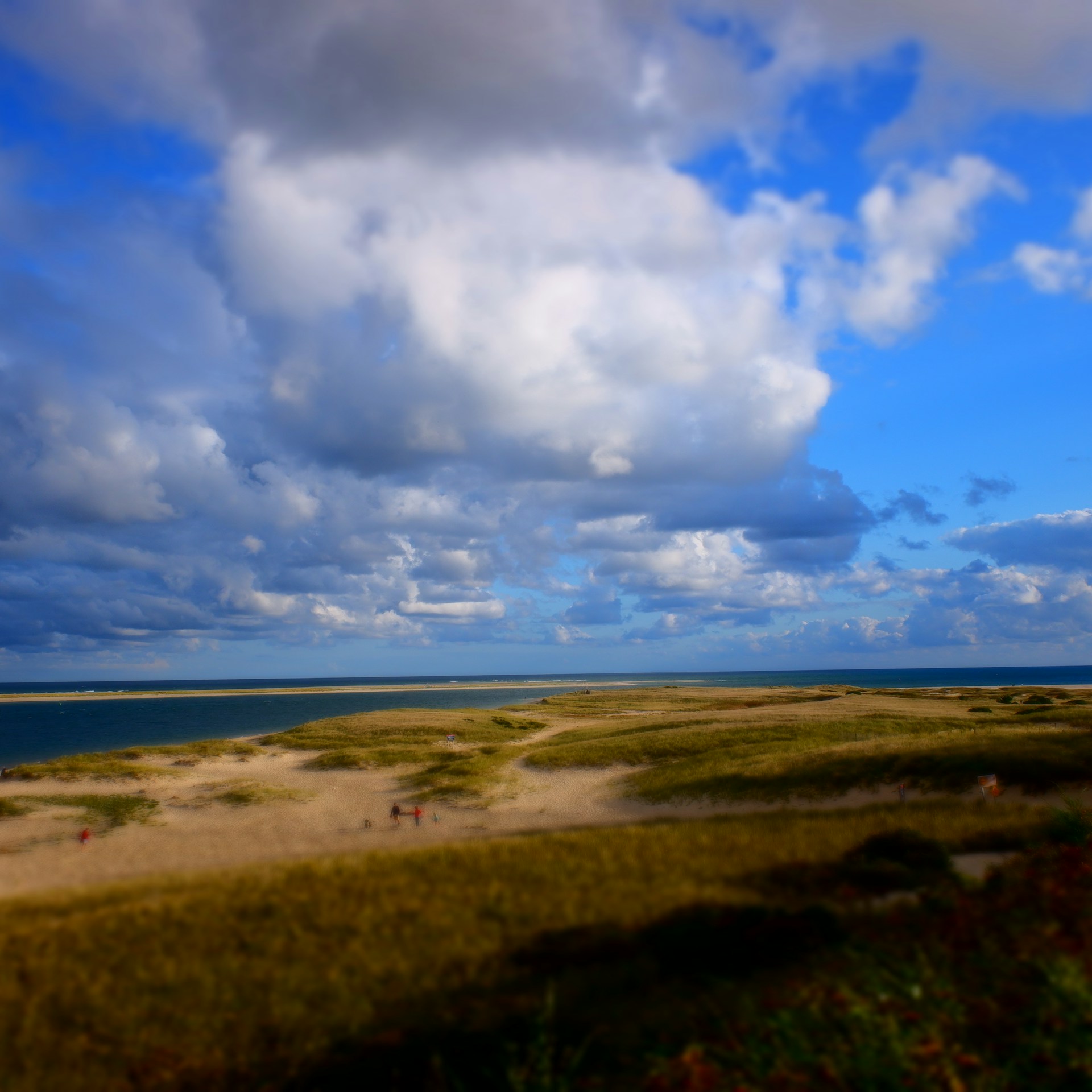 woman wearing yellow long-sleeved dress under white clouds and blue sky during daytime