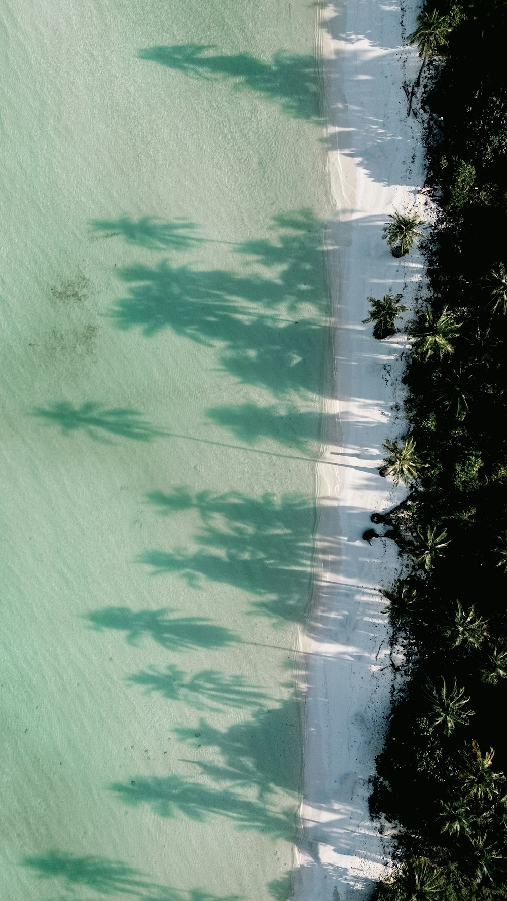 an aerial view of a beach and a body of water