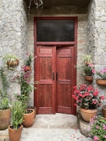 A classic paneled door painted deep red, framed by lush green plants.
