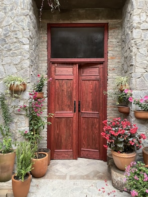 A classic paneled door painted deep red, framed by lush green plants.