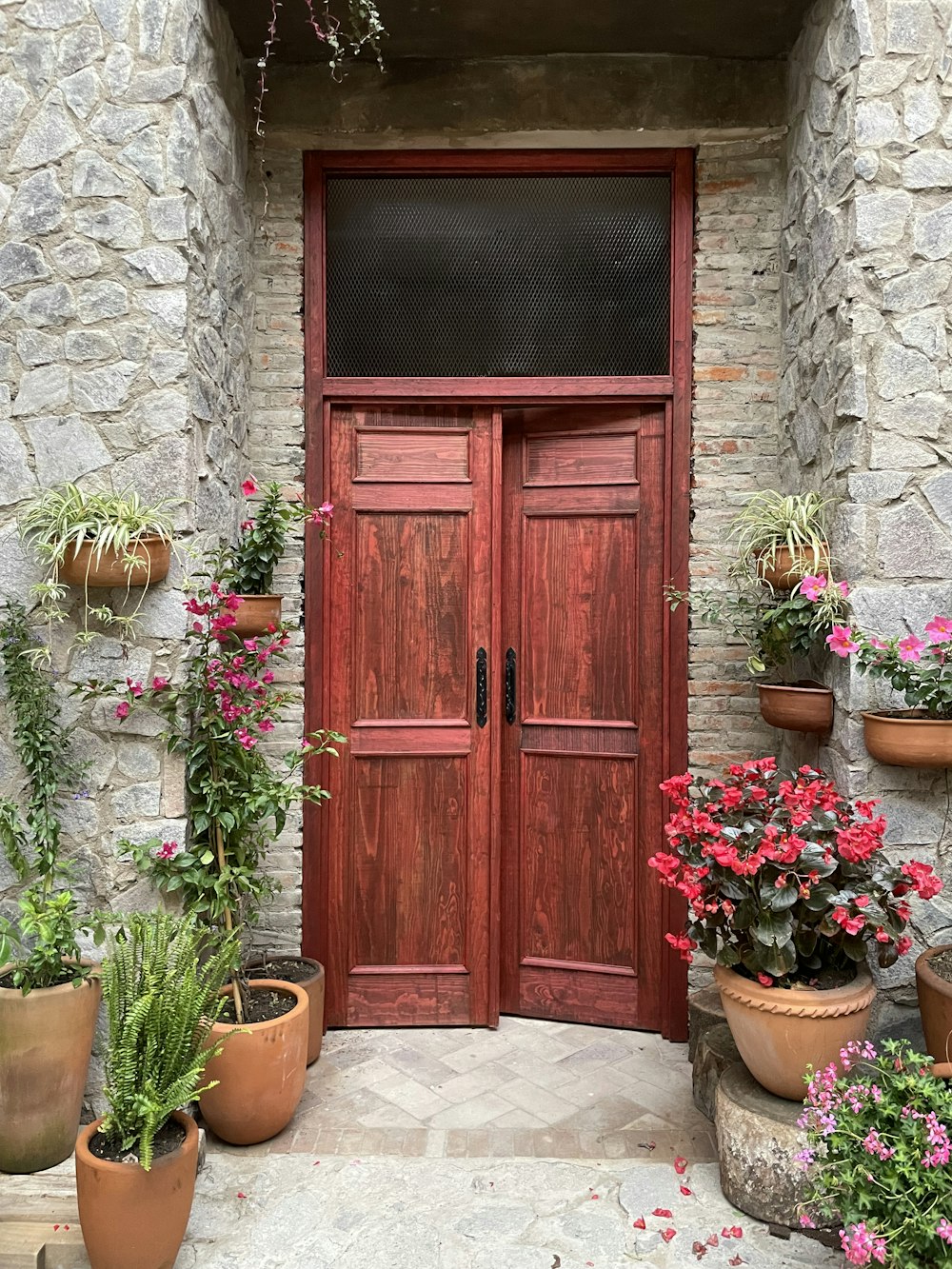 a red wooden door surrounded by potted plants