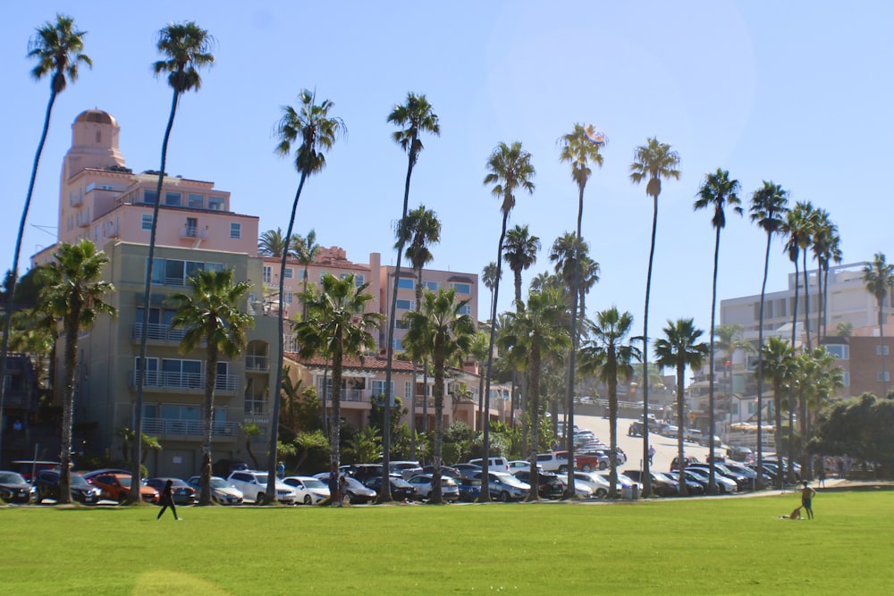 a man is playing with a frisbee in the park