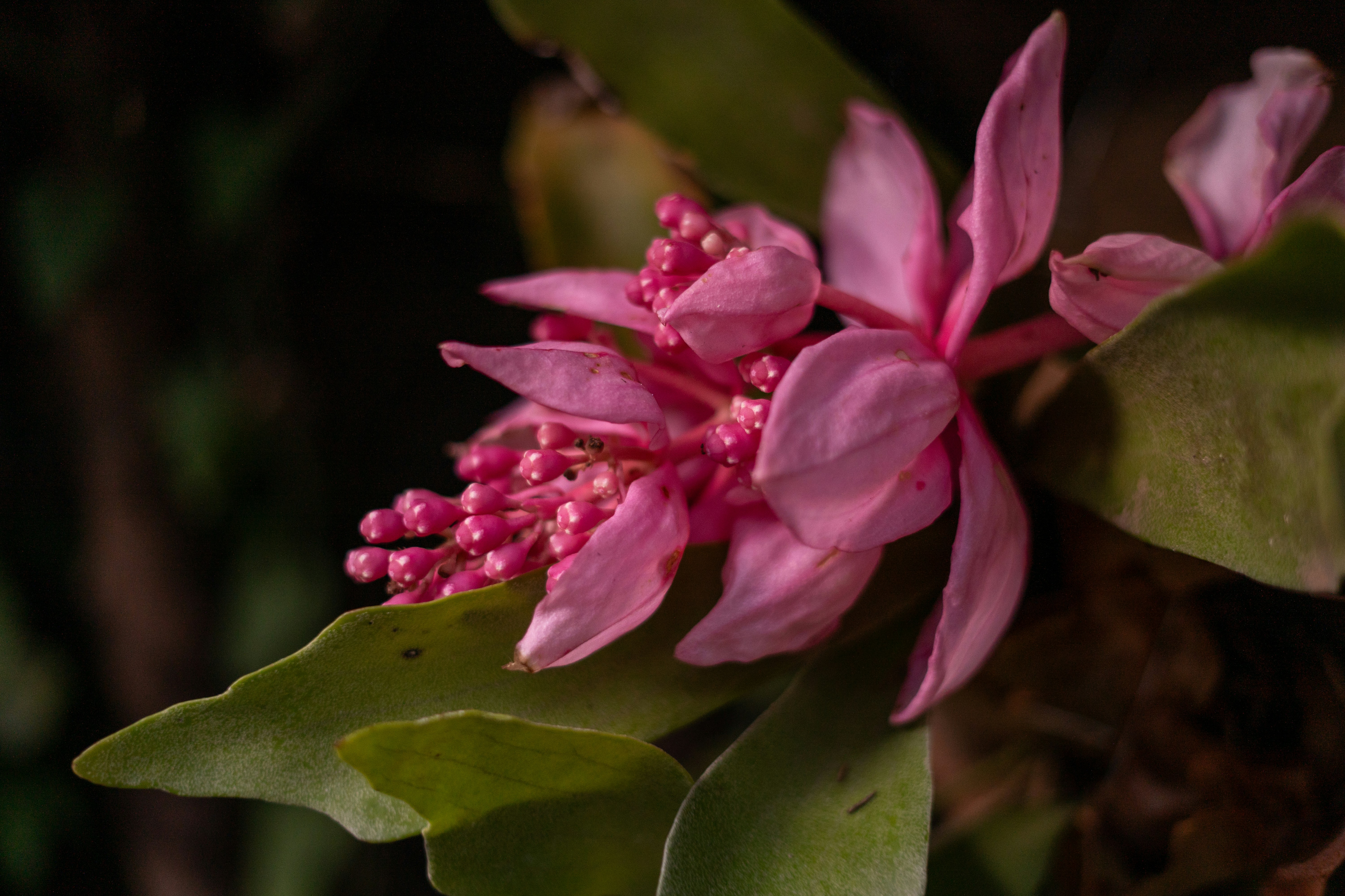 Photo by borjaverbena