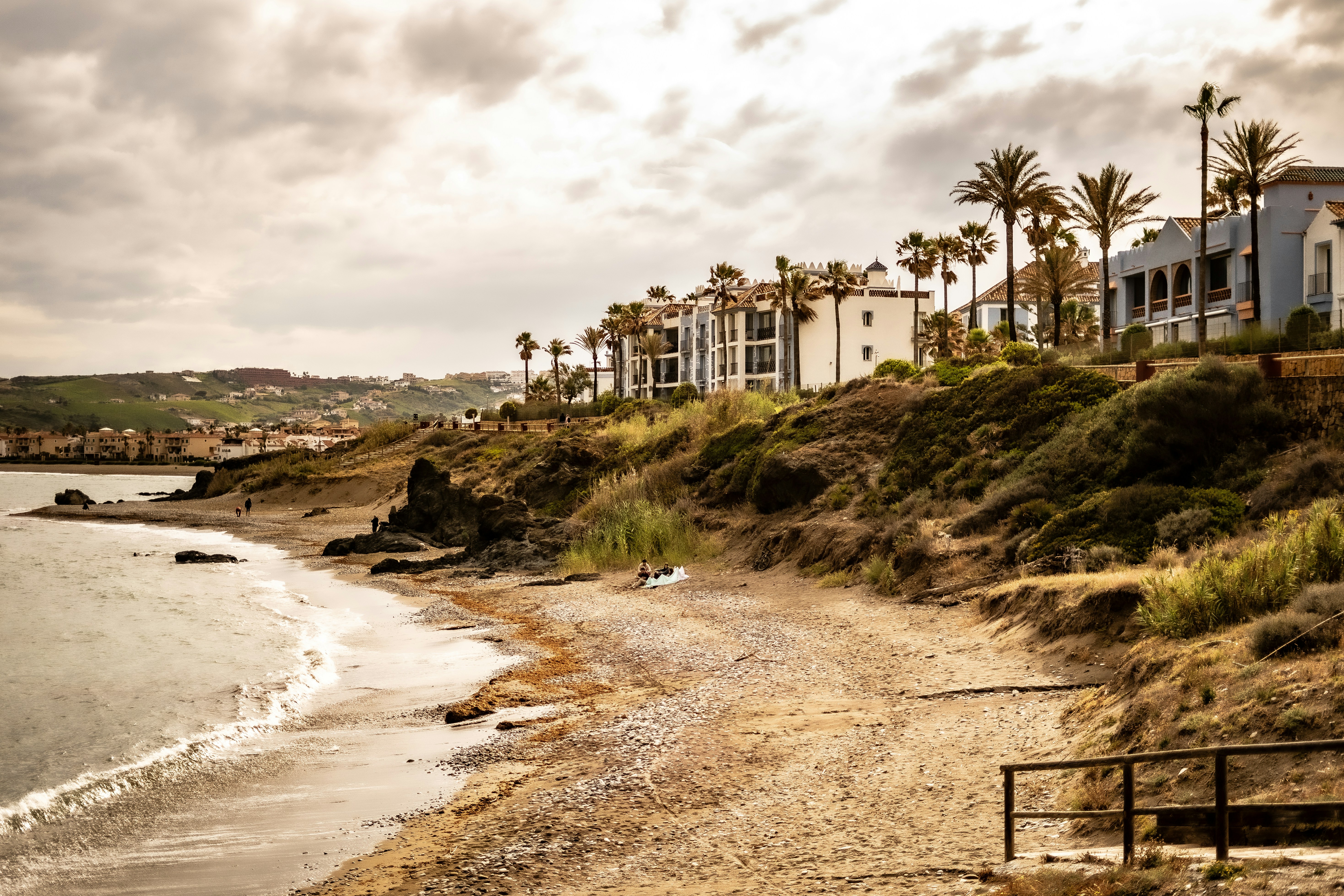 a view of a beach with palm trees and a house in the background