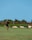 A golfer is captured mid-swing on a lush green golf course. In the background, there are sand bunkers and some shrubbery, with a clear blue sky above.