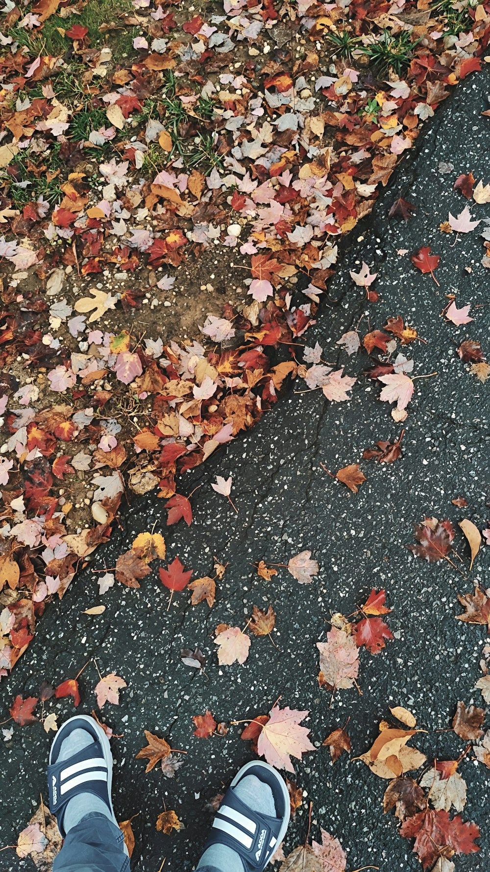 a person standing on a sidewalk with leaves on the ground