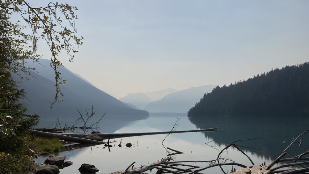 a body of water surrounded by trees and mountains