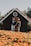 A smiling couple holding a 'Sold' sign in front of their new home.