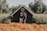 A smiling homeowner standing proudly in front of their newly built accessory dwelling unit with lush greenery around.