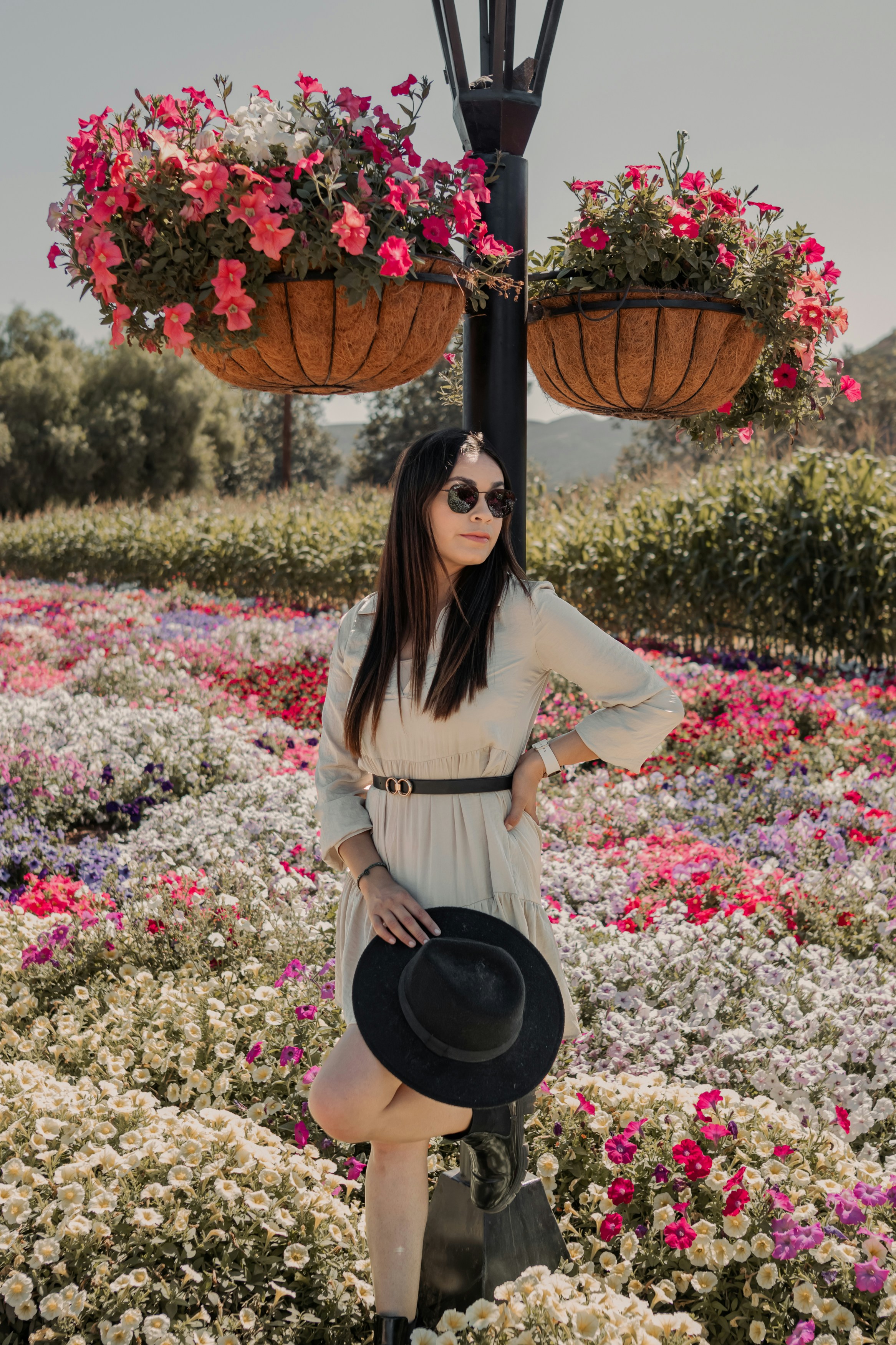 Photo by livingcolortj