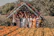 Group of friends and family happily posing outdoors in Erongarícuaro during the party.