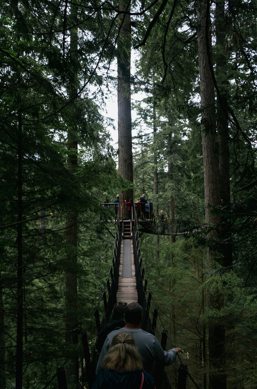 a group of people walking across a bridge in a forest