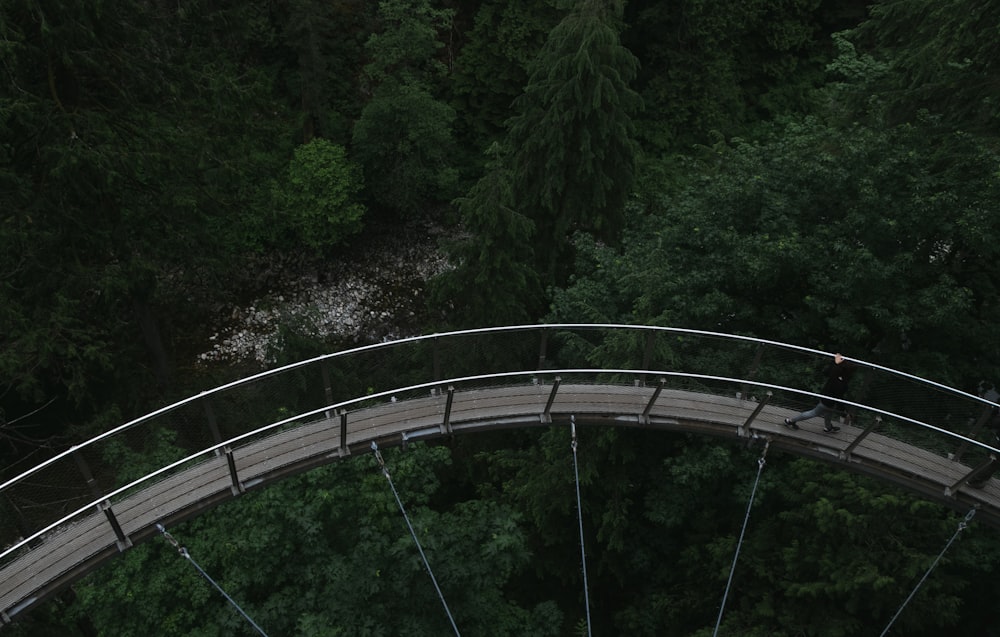 a man walking across a bridge over a forest