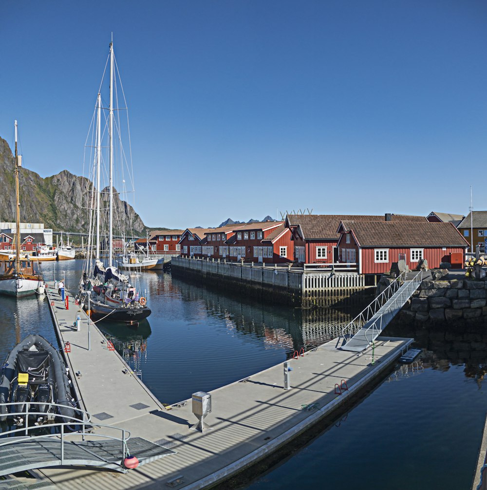 a marina with boats docked in it and a mountain in the background