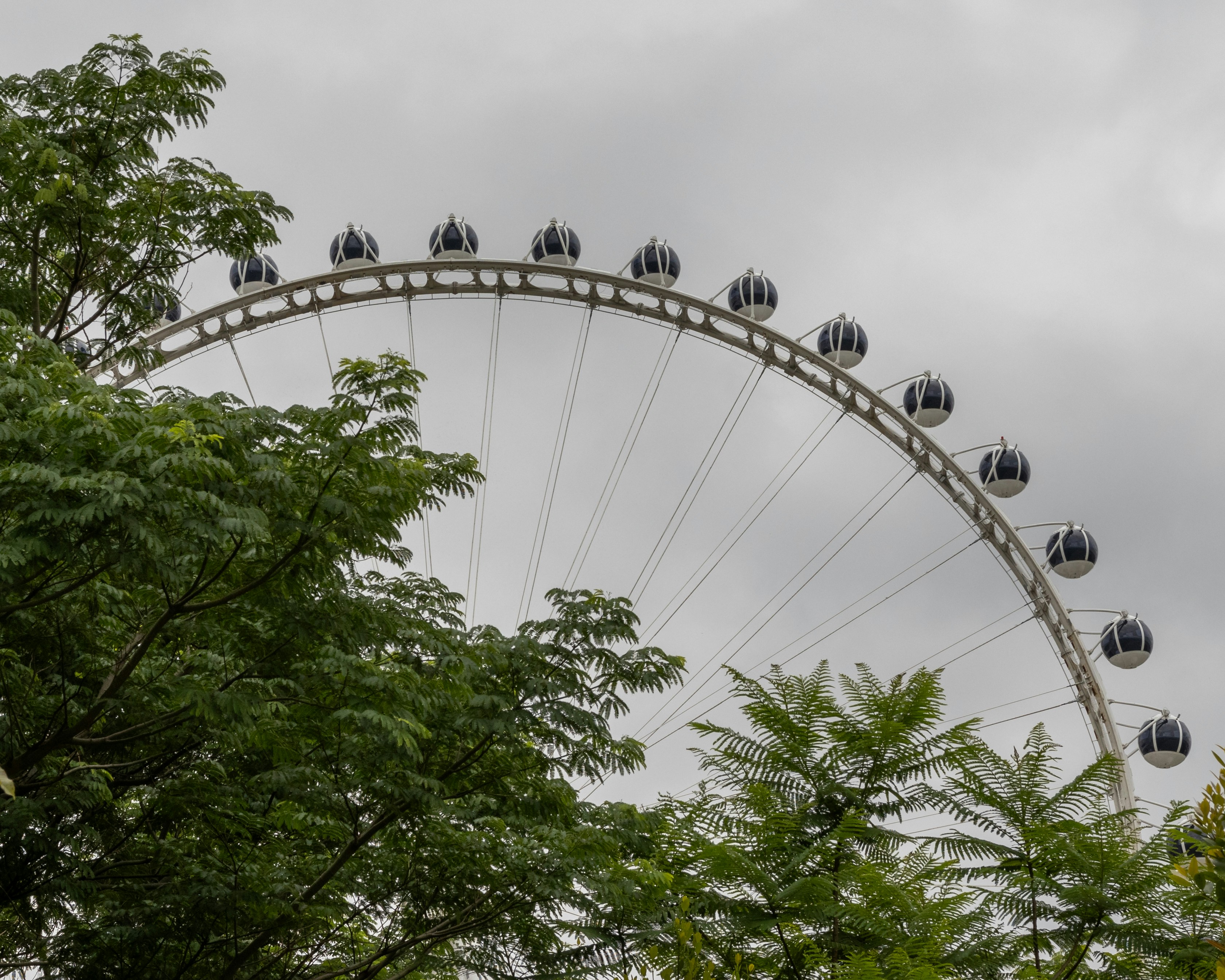 Una grande ruota panoramica seduta accanto a una lussureggiante foresta verde