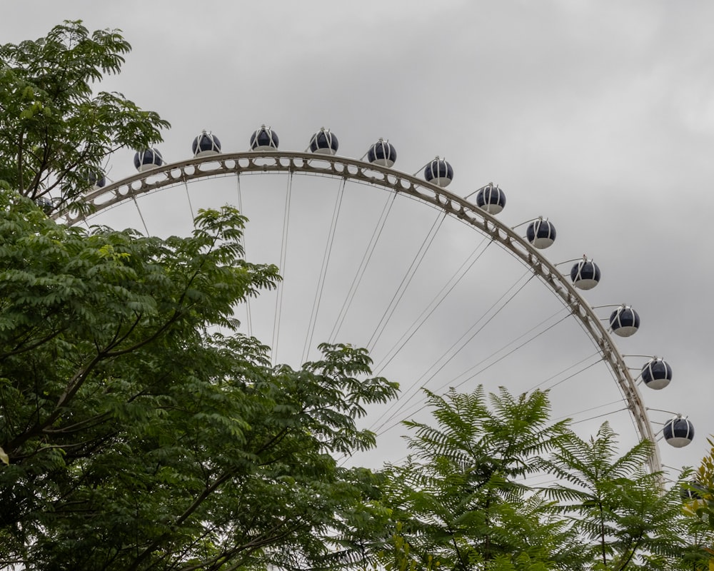 a large ferris wheel sitting next to a lush green forest