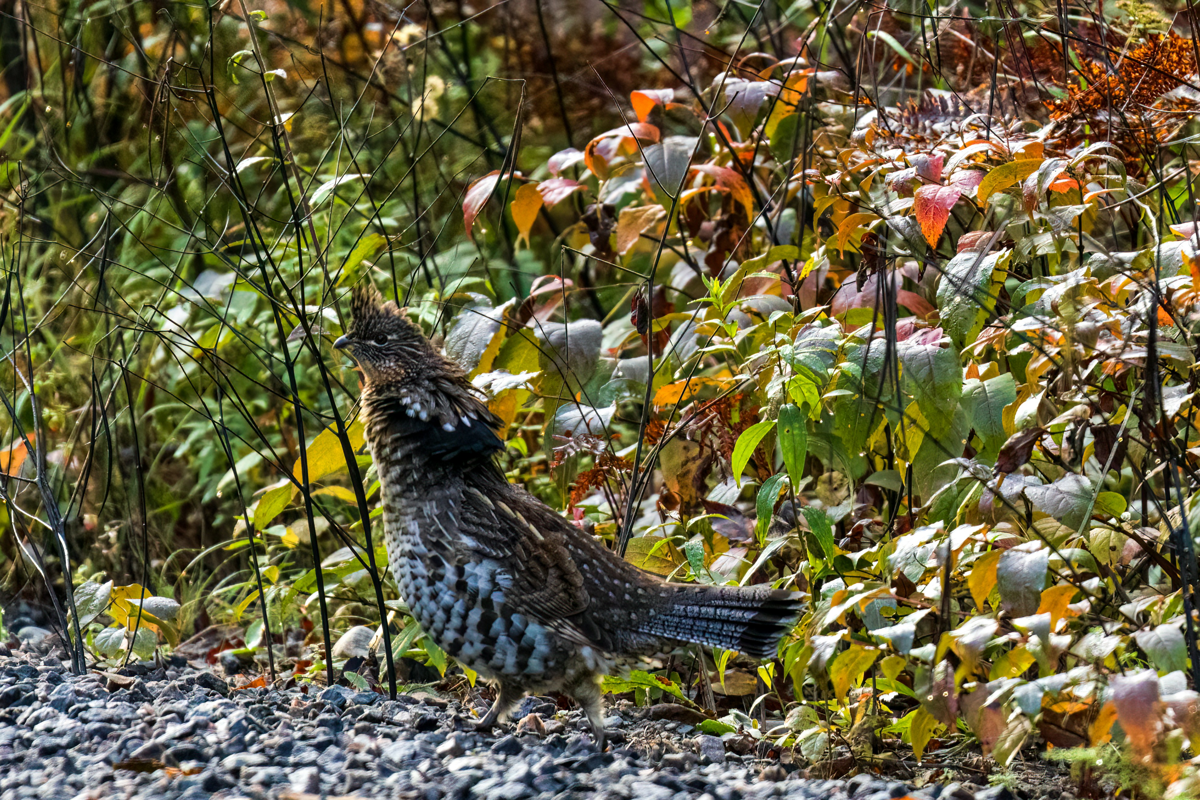 Photo by camerauthor