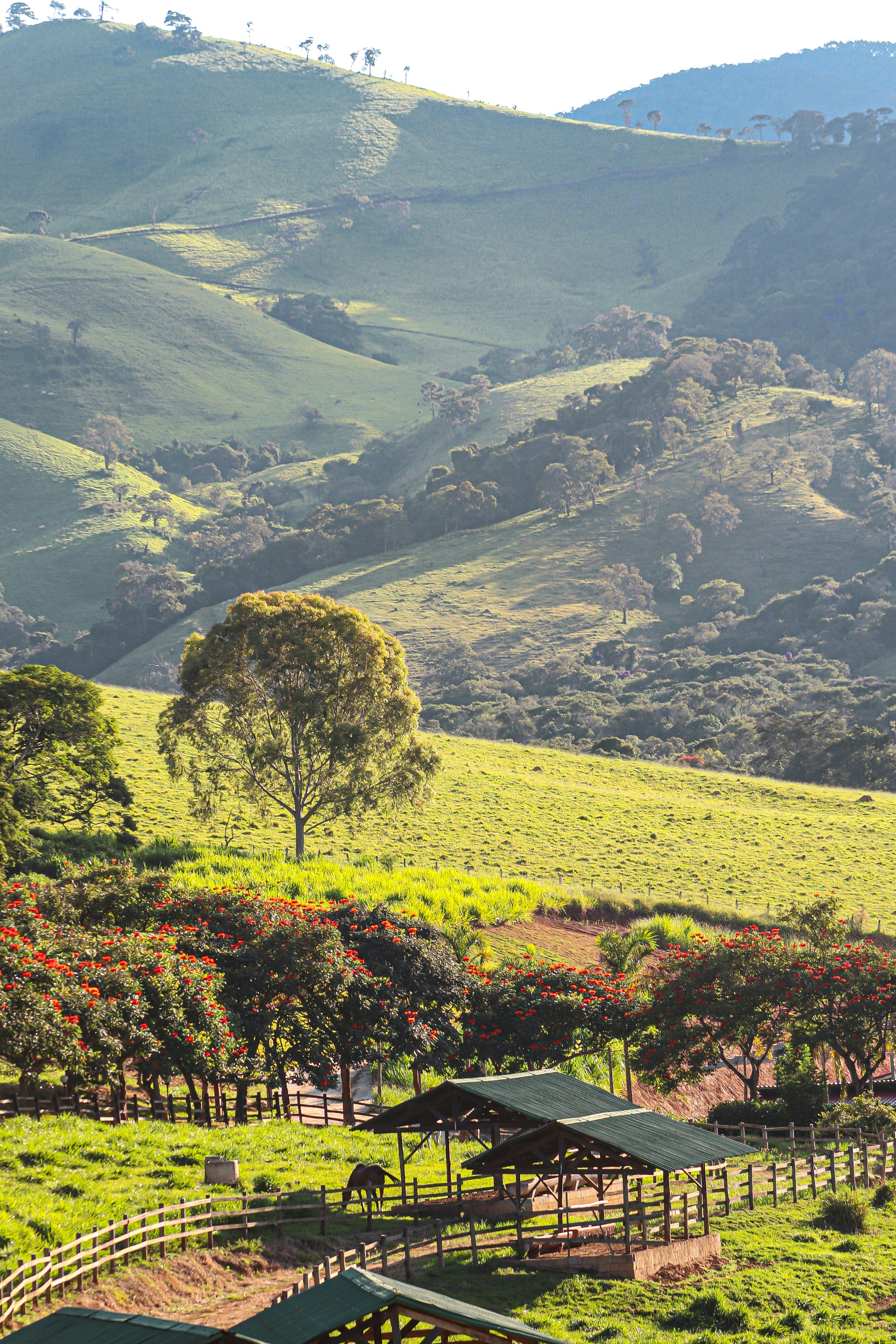 Photo by ribeiro__jean