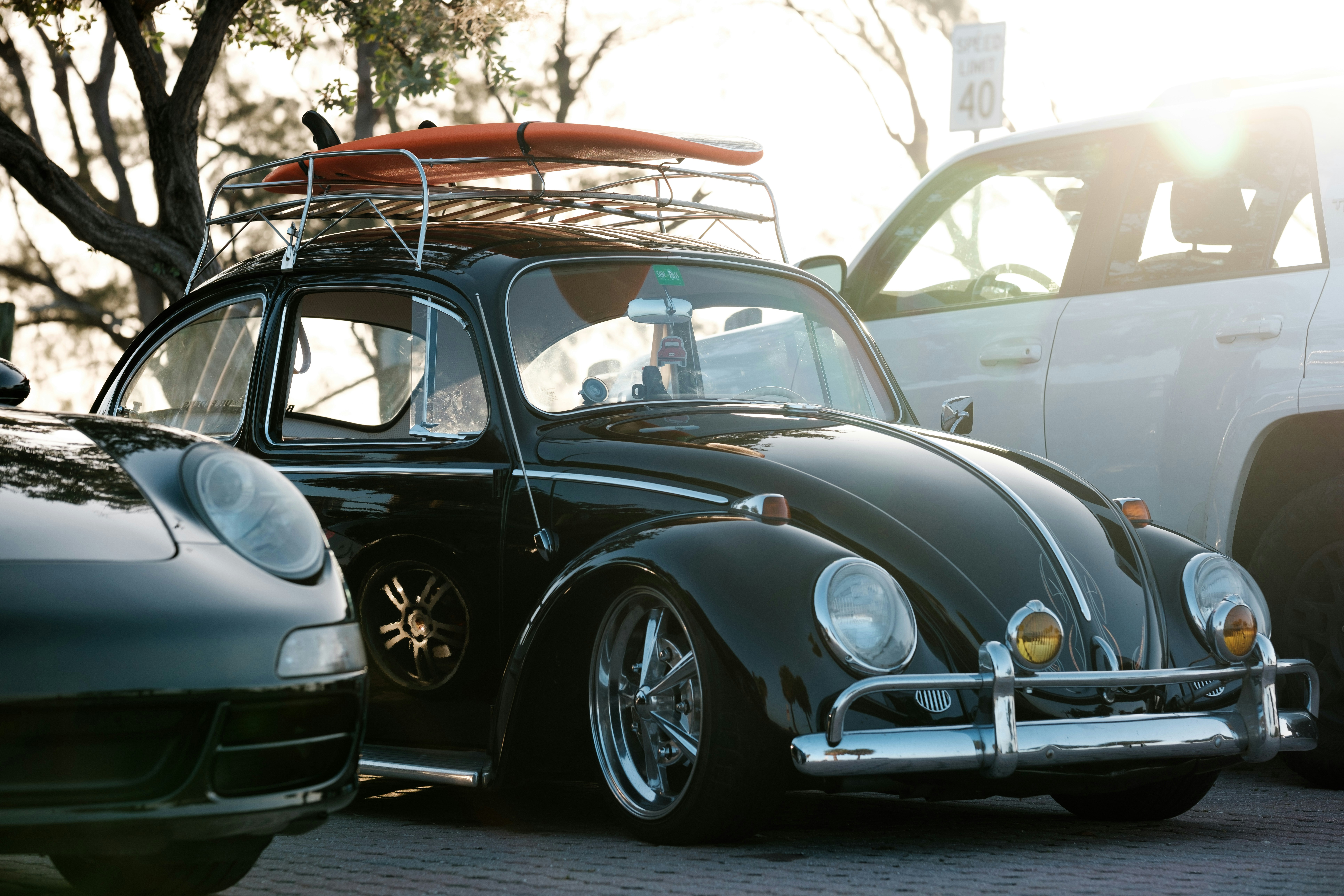 A Celebration of Sun, Sea, and Stoke