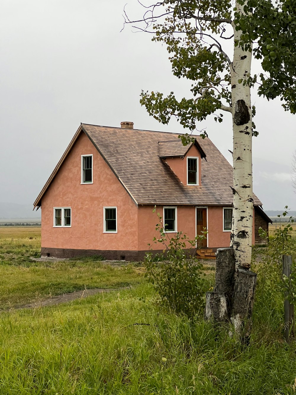 a pink house sitting next to a tree in a field