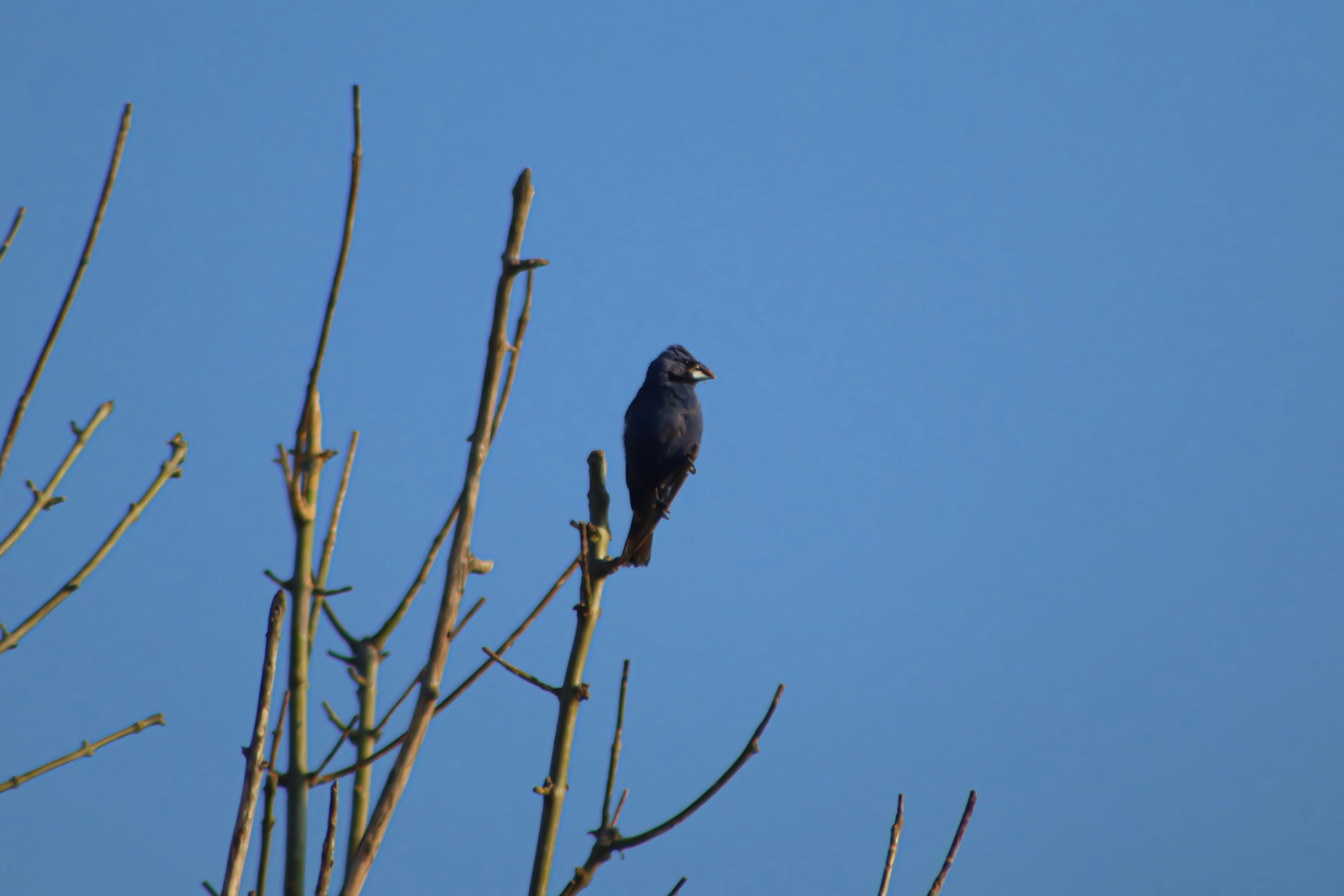 Photo by jorgeel_vm09