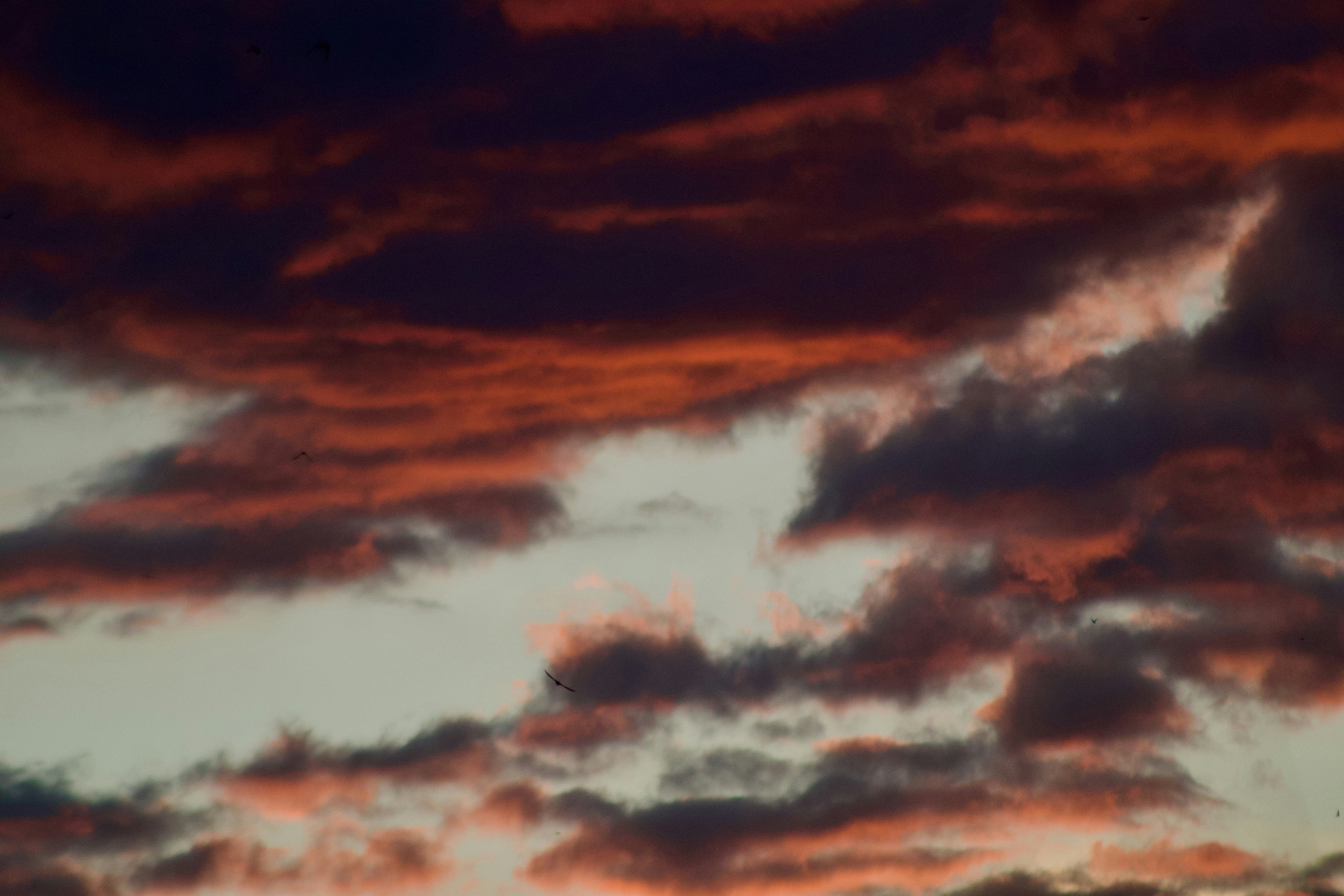 Photo by jorgeel_vm09